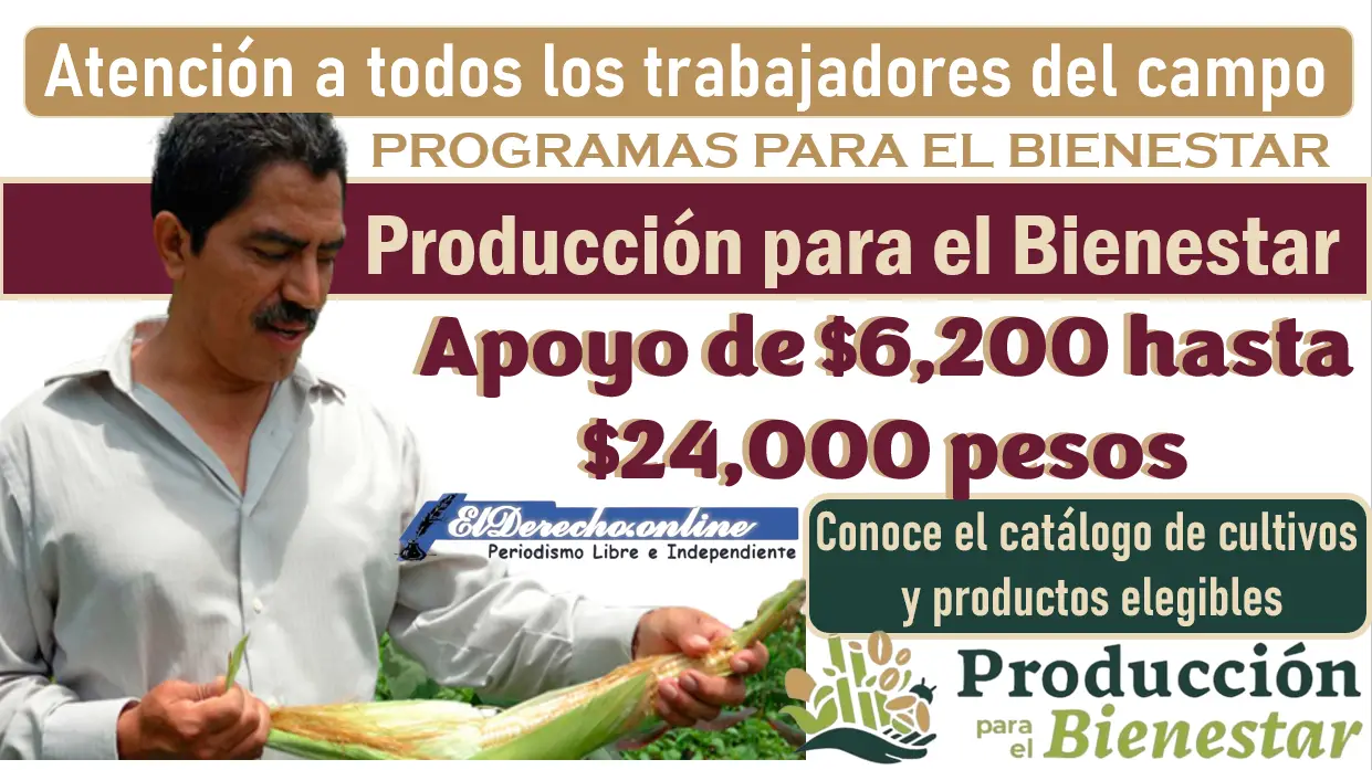 Conoce los montos por productor del programa Producción para el bienestar