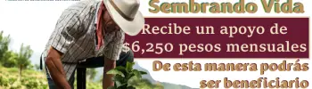 Programa Sembrando Vida | Recibe $6,250 pesos Mensuales: el registro es mu fácil, descúbrelo aquí