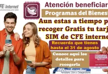 Entrega de GRATUITA de tarjeta SIM de CFE Internet gratis | Acude por ella aun estas a tiempo: conoce todos los detalles para recogerla