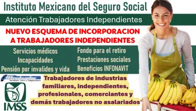 Regístrate como Trabajador independiente y y comienza a gozar de los beneficios de este nuevo programa del IMSS