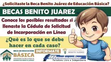 ¿Cuáles son los tres posibles resultados si llenaste la Cédula de Solicitud de Incorporación en Línea y que hacer en cada caso?