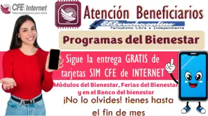 Sigue la entrega GRATIS de tarjetas SIM CFE de INTERNET | ¡No lo olvides! Tienes hasta el fin de mes