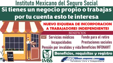 Si tienes un negocio propio o trabajas por tu cuenta esto te interesa | Incorpórate al IMSS como trabajador independiente: Beneficios, requisitos y registro