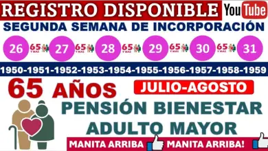 ¿Naciste entre 1950 y 1959? Inscríbete en la Pensión del Bienestar y Recibe $6,000 Bimestrales