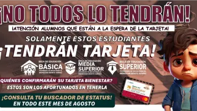 ¡Atención Beneficiarios! Reanudación de Entrega de Tarjetas del Bienestar en Agosto: Guía para Consultar