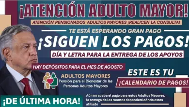 Pagos de Pensiones en Agosto de 2024: Fechas y Detalles