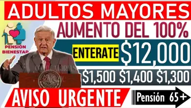 Posibles Incrementos en la Pensión para Adultos Mayores: Análisis de Ajustes Potenciales en 2025