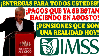 Claridad y Confusión: Desenredando los Pagos de Pensiones para Adultos Mayores en México