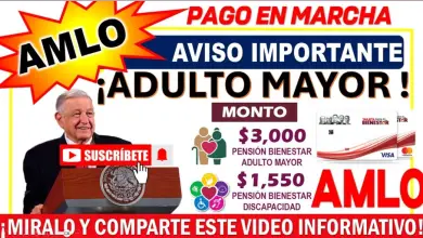 Lo Que Debes Saber Sobre el Pago en Marcha, Apoyo Único para Familias de Adultos Mayores y Personas con Discapacidad