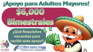 ¿Qué es la Pensión para el Bienestar de los Adultos Mayores?, ¡Información sobre este pago de $6,000.00!