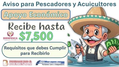 este-programa-de-la-secretaria-del-bienestar-te-da-7500-si-cumples-estos-requisitos-descubre-cual-es-