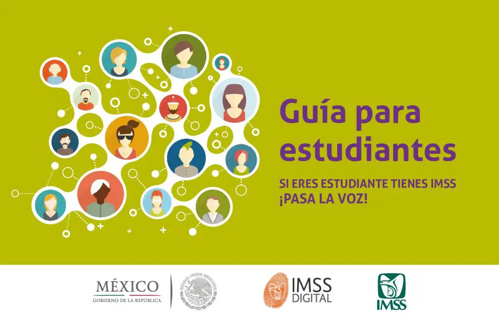 guia paso a paso para realizar servicio social en nutricion en el imss