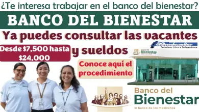 Trabajo en el Banco del Bienestar | De esta manera podrás consultar las vacantes y sueldos