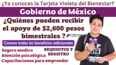 ¿Quienes puedes recibir el apoyo de $2,600 pesos? | La Tarjeta Violeta Bienestar también otorga beneficios adicionales; requisitos y registro