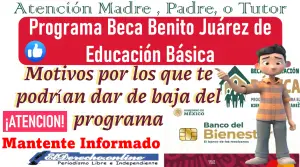 Causa de BAJA del Programa Beca Benito Juárez de Educación Básica | Mantente informado