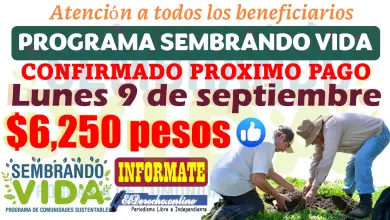 ¡Confirmado! Pago de Sembrando Vida $6,2050 pesos Lunes 9 de septiembre | Atento a este pago, aquí conocerás todos los detalles del pago mensual