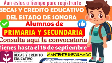 Convocatoria abierta hasta el 15 de septiembre | Para estudiantes de primaria y secundaria: Aquí tienes todos los detalles