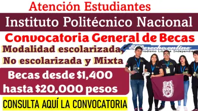 Convocatoria General de Becas IPN 2024-2025 | Becas desde $1,400 hasta $20,000 pesos: Consulta aquí antes de octubre de 2024