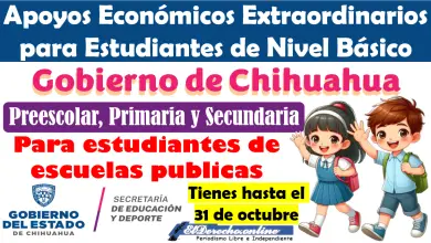 Convocatoria Abierta "Apoyos Económicos Extraordinarios para Estudiantes de Nivel Básico"