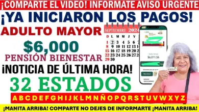 Calendario de Pagos de la Pensión del Bienestar para Adultos Mayores los Depósitos Iniciaron en Agosto