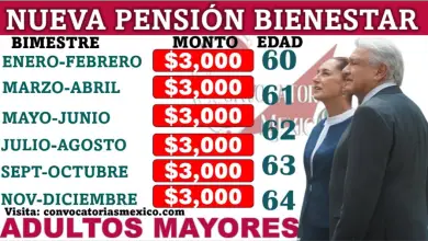 ¡Atención! Todo lo que debes saber sobre la Reforma al Poder Judicial, ultimo adiós a AMLO