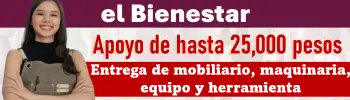 "Convocatoria Abierta" | Apoyo al Autoempleo para el Bienestar: apoyo de hasta 25,000 pesos