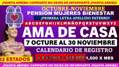 Registro en Marcha para la Pensión del Bienestar, Mujeres Amas de Casa de 60 a 64 Años Tienen Hasta el 30 de Noviembre