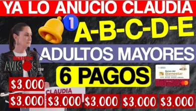 Nuevo Apoyo para Adultos Mayores de 60 a 64 Años, ¡Regístrate Antes del 30 de Noviembre y Asegura tu Pensión!