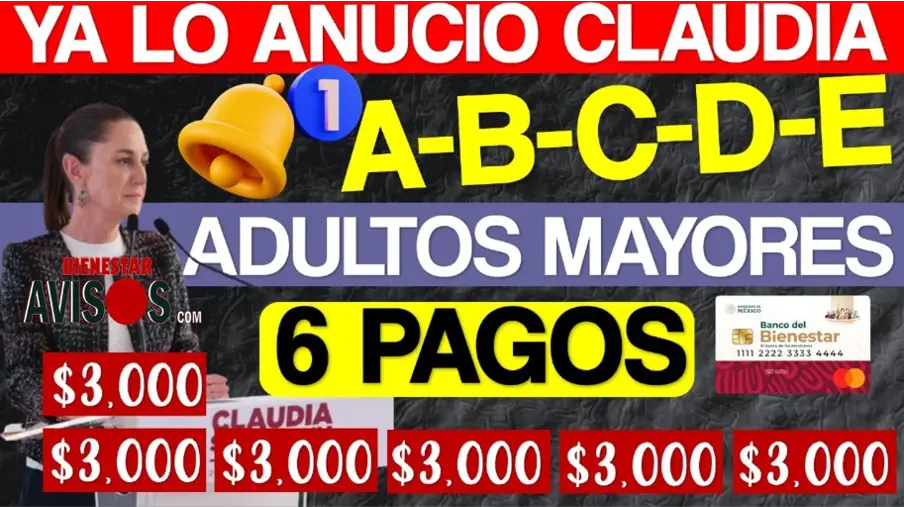 Nuevo Apoyo para Adultos Mayores de 60 a 64 Años, ¡Regístrate Antes del 30 de Noviembre y Asegura tu Pensión!