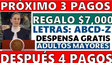 ¡Despensas, Apoyos del Bienestar, Última Dispersión del Año y Nuevos Beneficios para 2024!