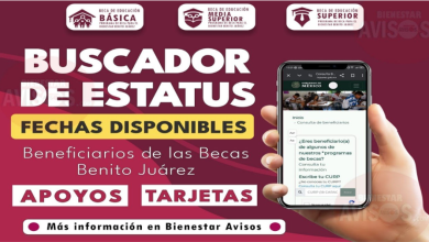 Todo lo que Necesitas Saber sobre el Buscador de Estatus en Octubre, Pagos y Entrega de Tarjetas