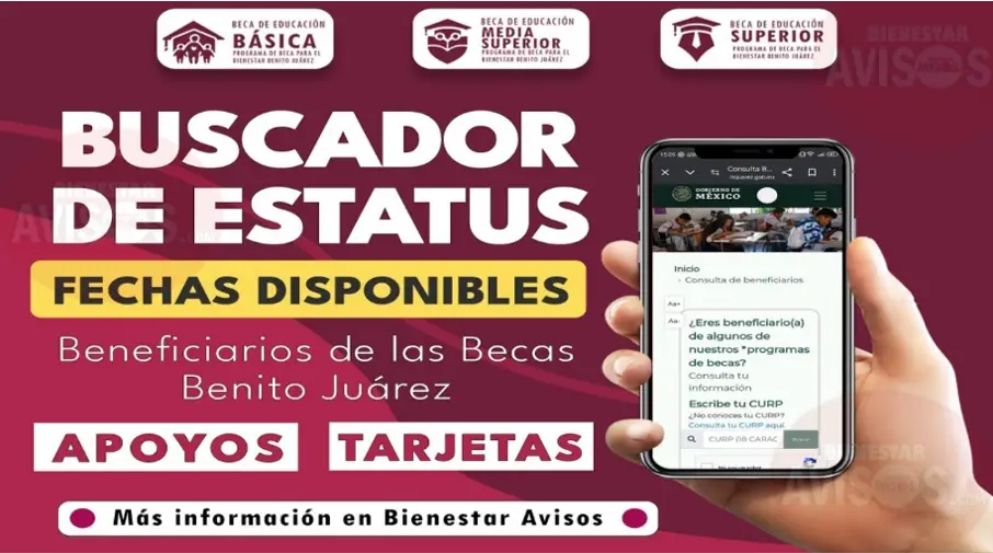 Todo lo que Necesitas Saber sobre el Buscador de Estatus en Octubre, Pagos y Entrega de Tarjetas