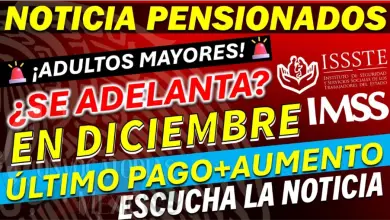 ¿Sabías que algunos pensionados recibirán hasta $47,000 extra? Descubre todo sobre los pagos de aguinaldo y aumentos en las pensiones de IMSS e ISSSTE