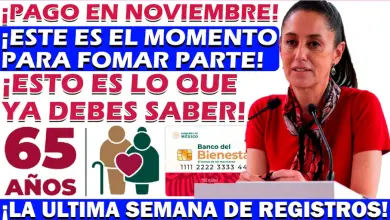 Última semana de pagos y registros para los programas del Bienestar, ¡Aprovecha antes del 30 de Noviembre!