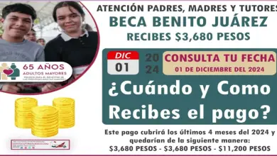 ¿Sabes Cuándo Recibirás el Último Pago de las Becas Benito Juárez 2024? Descúbrelo Aquí