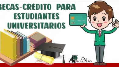 ¿Eres Estudiante Universitario? Descubre Cómo Obtener una Beca-Crédito para Continuar tus Estudios