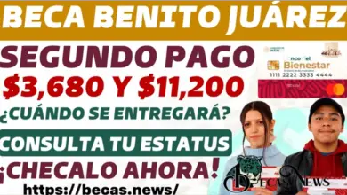 Descubre cómo consultar la fecha exacta de tu pago y los montos que recibirás antes de que termine el año