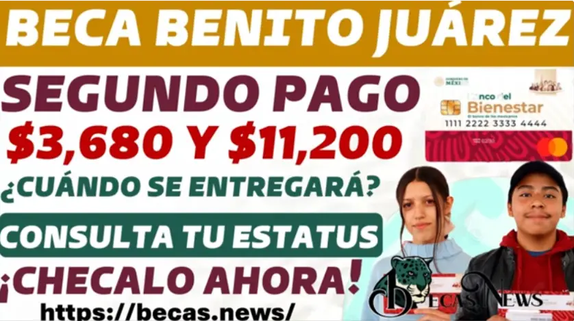 Descubre cómo consultar la fecha exacta de tu pago y los montos que recibirás antes de que termine el año