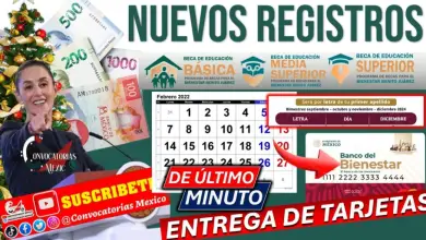 Inicia la Entrega de Tarjetas para la Beca Universal Rita Cetina 2025 y Nuevos Registros a la Beca Benito Juárez