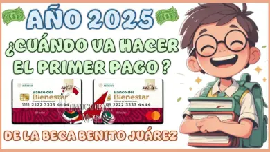 Próximo Pago de la Beca Benito Juárez 2025, Fechas y Detalles Esperados