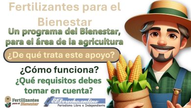 fertilizantes-para-el-bienestar-2025-informacion-sobre-este-programa-social-para-agricultores