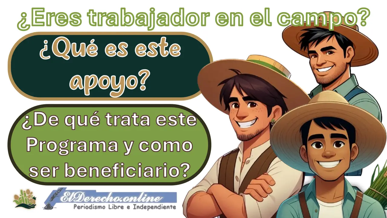 eres-trabajador-del-campo-este-programa-es-para-ti-enterate-de-que-trata-y-como-ser-beneficiario