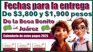 ¡Atención! Fechas y Sorpresas en los Pagos de la Beca Benito Juárez 2025